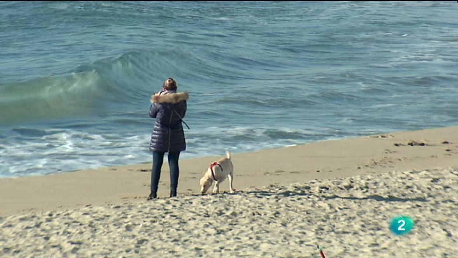 Vespre a La 2 - Informatiu - 11/03/2016