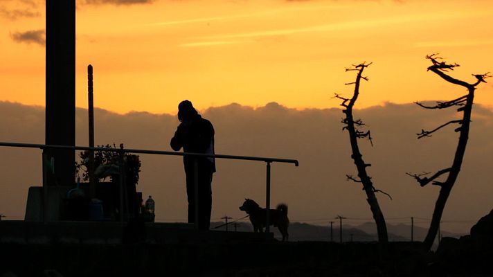 Telediario 1 - Greenpeace denuncia la situación en Chernóbil