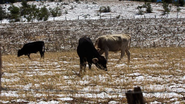 El tiempo - Nevará en cotas bajas, con precipitaciones localmente fuertes