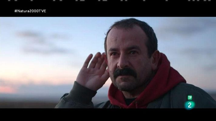 Red Natura 2000 - Laguna de Gallocanta: albergue para grulleros