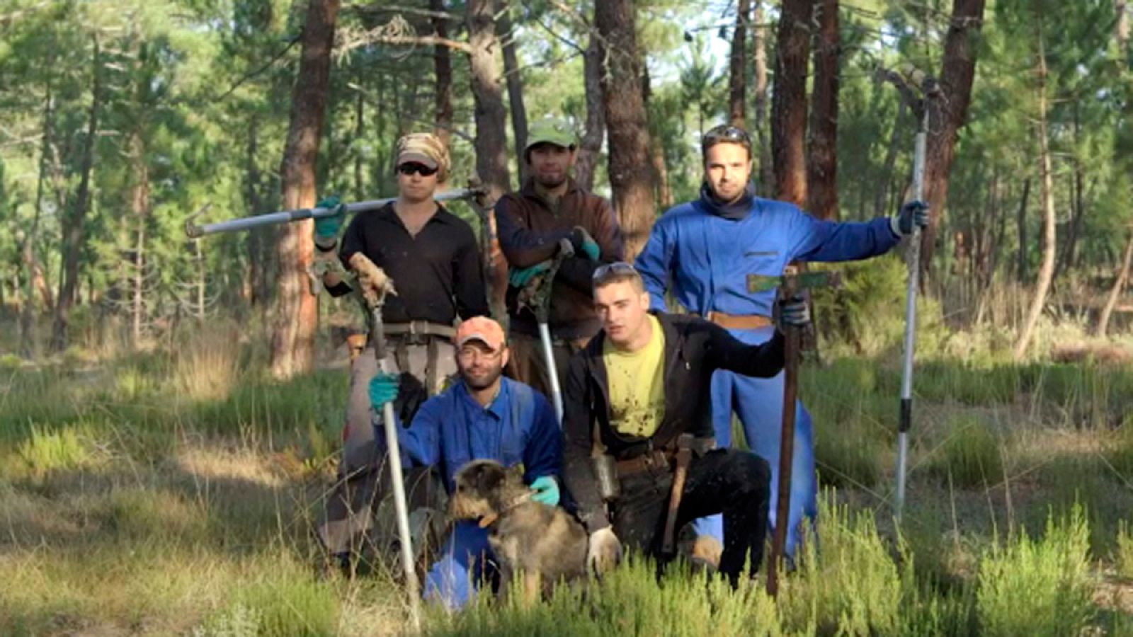 Red Natura 2000 - Montes Aquilanos y Sierra del Teleno: resineros