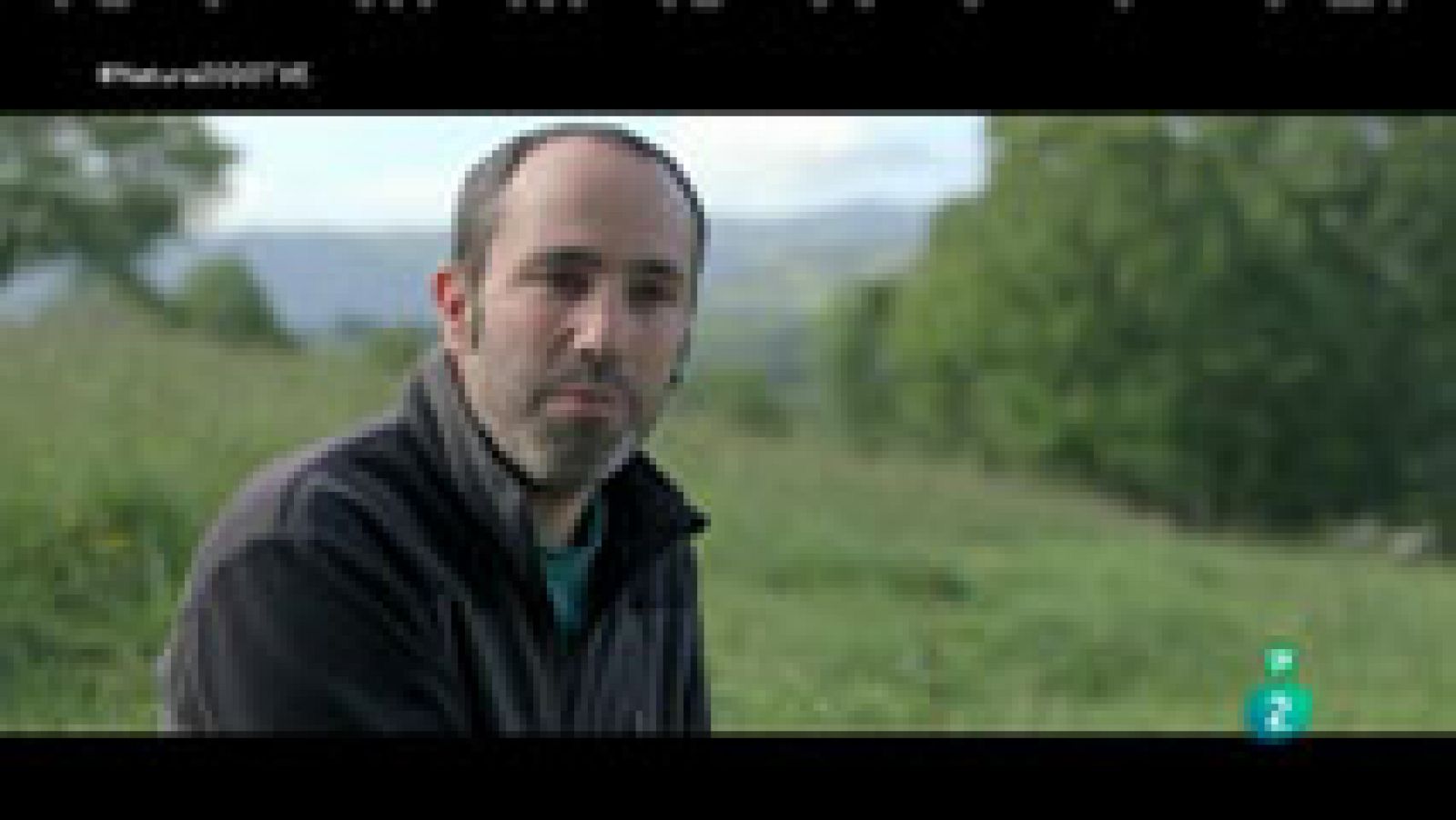 Red Natura 2000 - Belate: vacas en ecológico