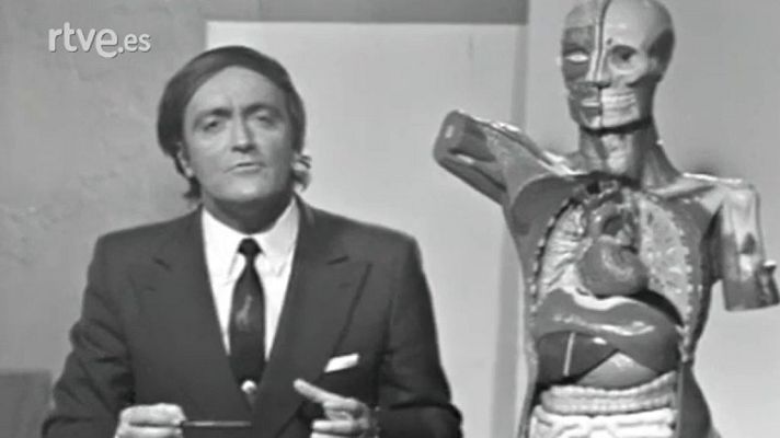 El planeta azul - La jerarquía en el mundo animal