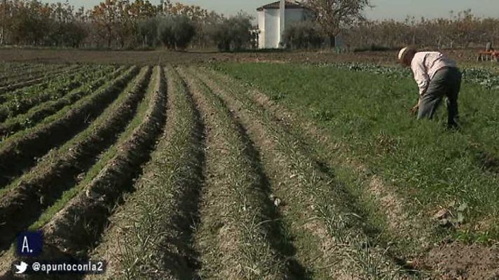 A punto con La 2 - A punto con La 2 - 14/03/16