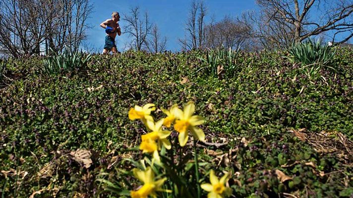 Informativo de Madrid - El Tiempo en la Comunidad de Madrid - 15/03/16