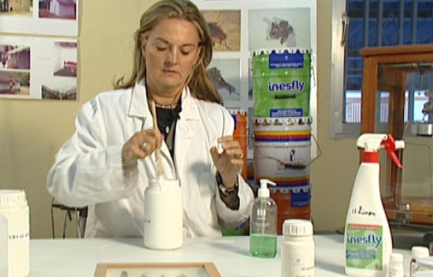 Fábrica de ideas - Imita: Pilar Mateo