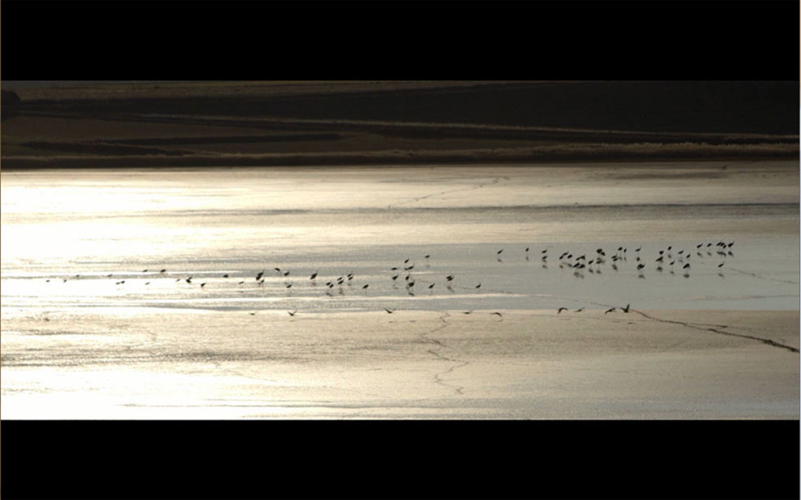 Red Natura 2000 - Laguna de Gallocanta