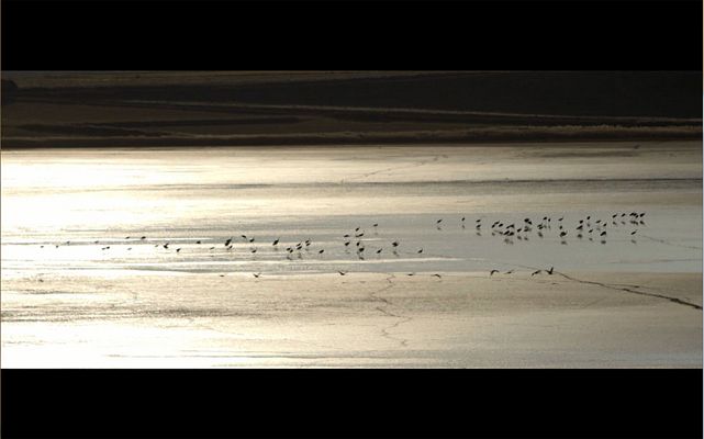 Red Natura 2000 - Laguna de Gallocanta