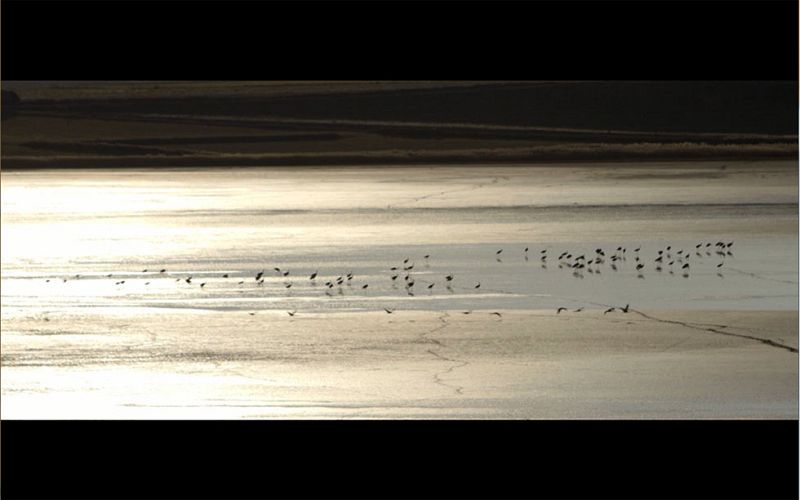 Red Natura 2000 - Laguna de Gallocanta