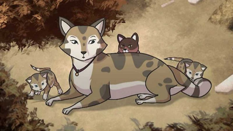 The Case of the Online Cat - Cuatro amigos y medio en inglés | Watch