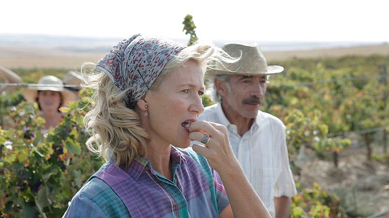 Cuntame cmo pas - Temporada 17 - Episodio 11: Mala uva - Ver ahora