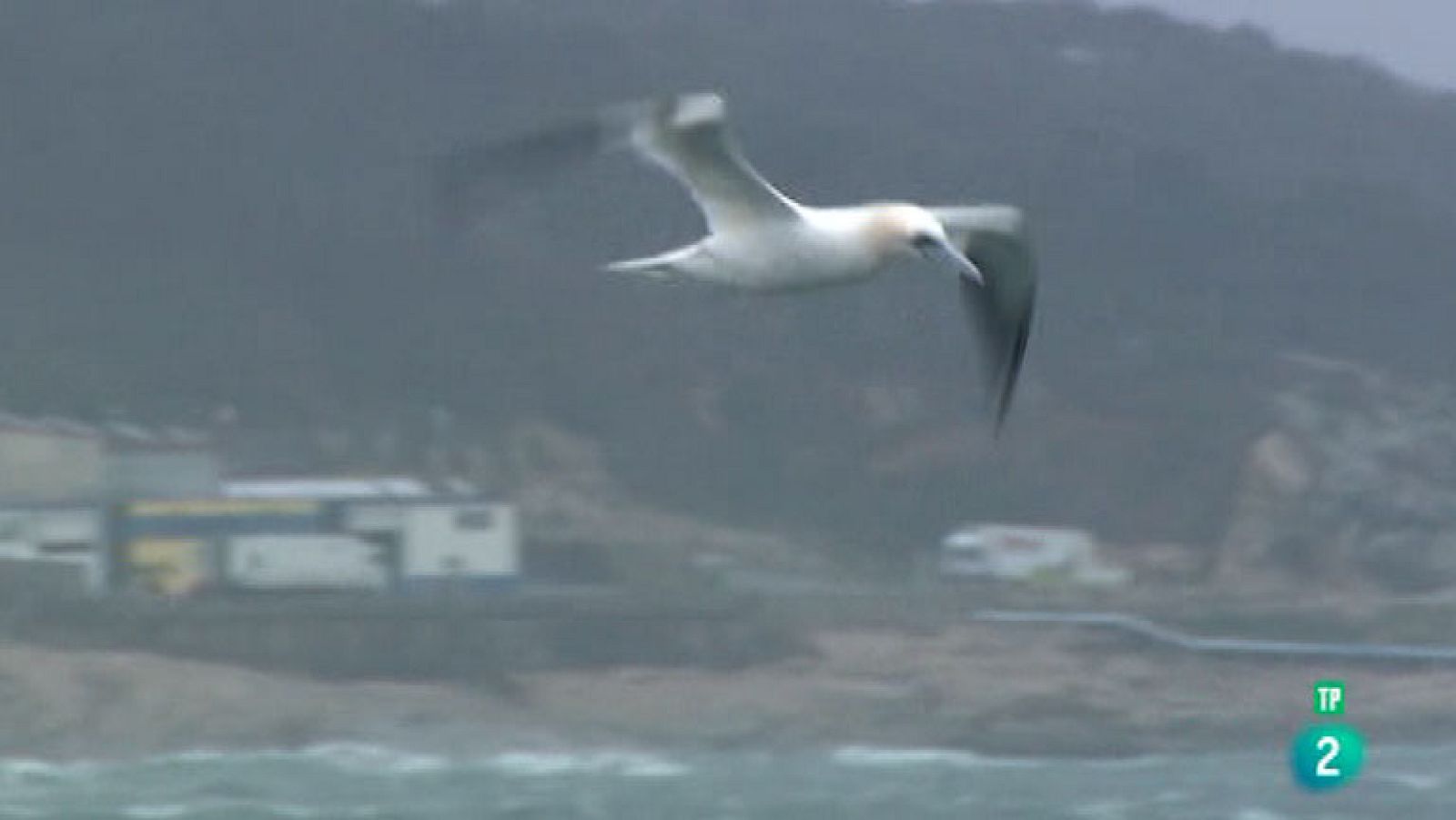 La Aventura del Saber. Reservas Ornitológicas: O Grove