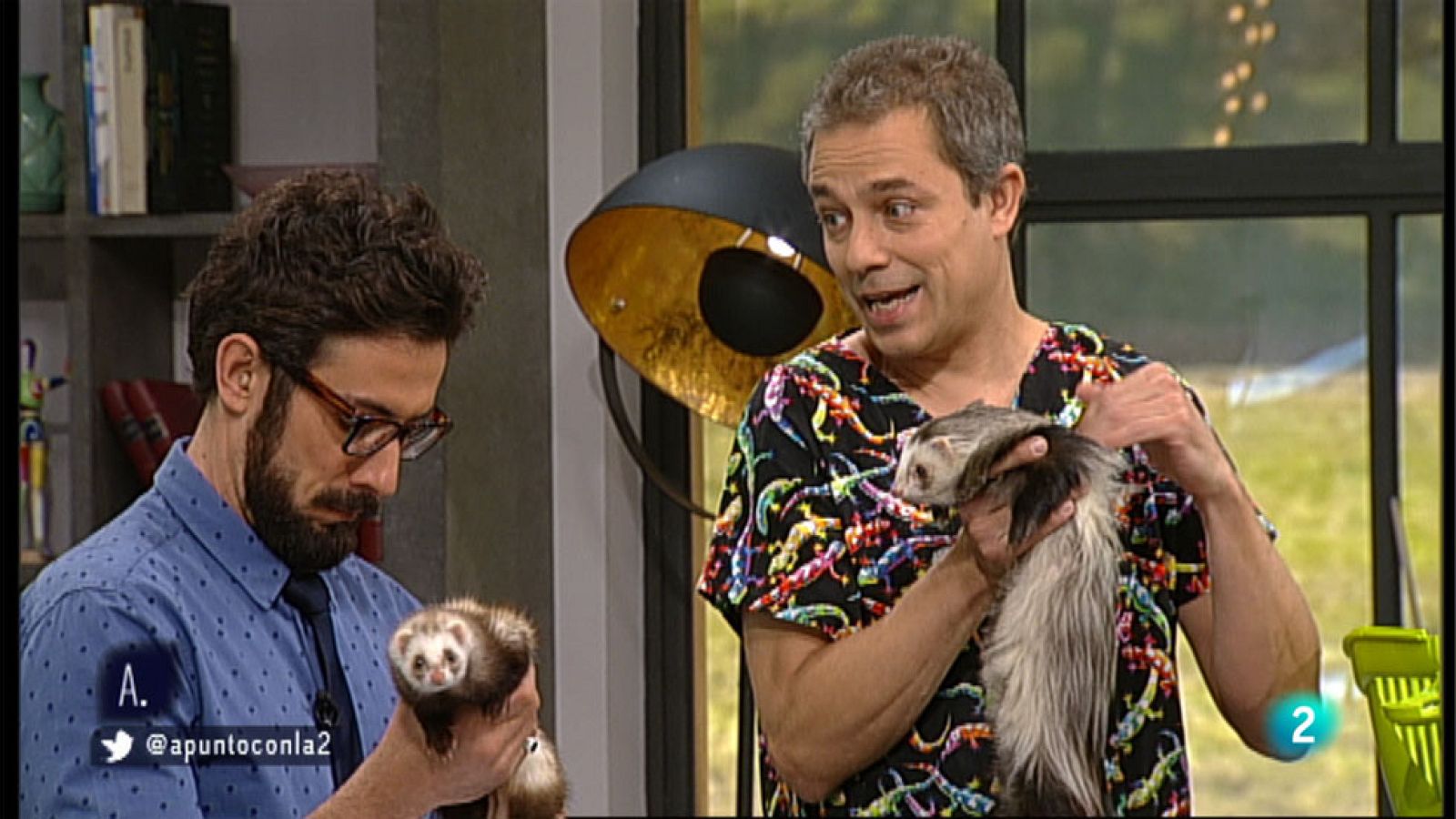 A punto con La 2 - Animales en casa - Los hurones