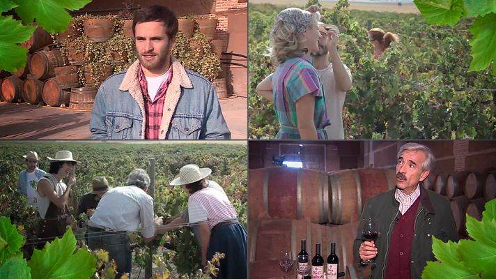 Cuéntame cómo pasó - Los Alcántara, unidos por la tierra