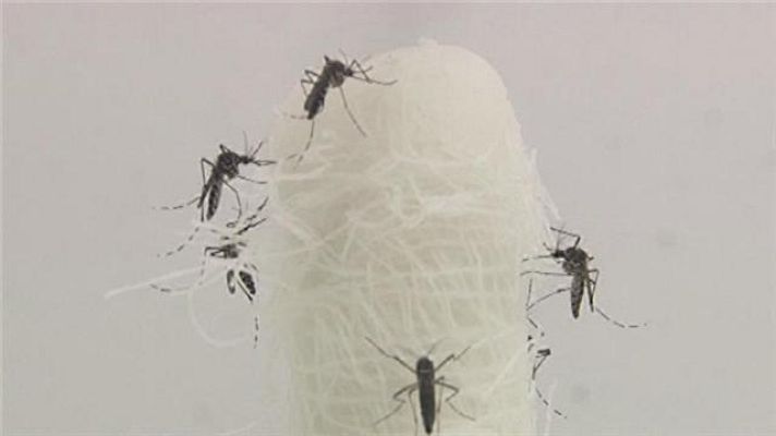 Telecanarias - Canarias en 2' - 16/03/2016