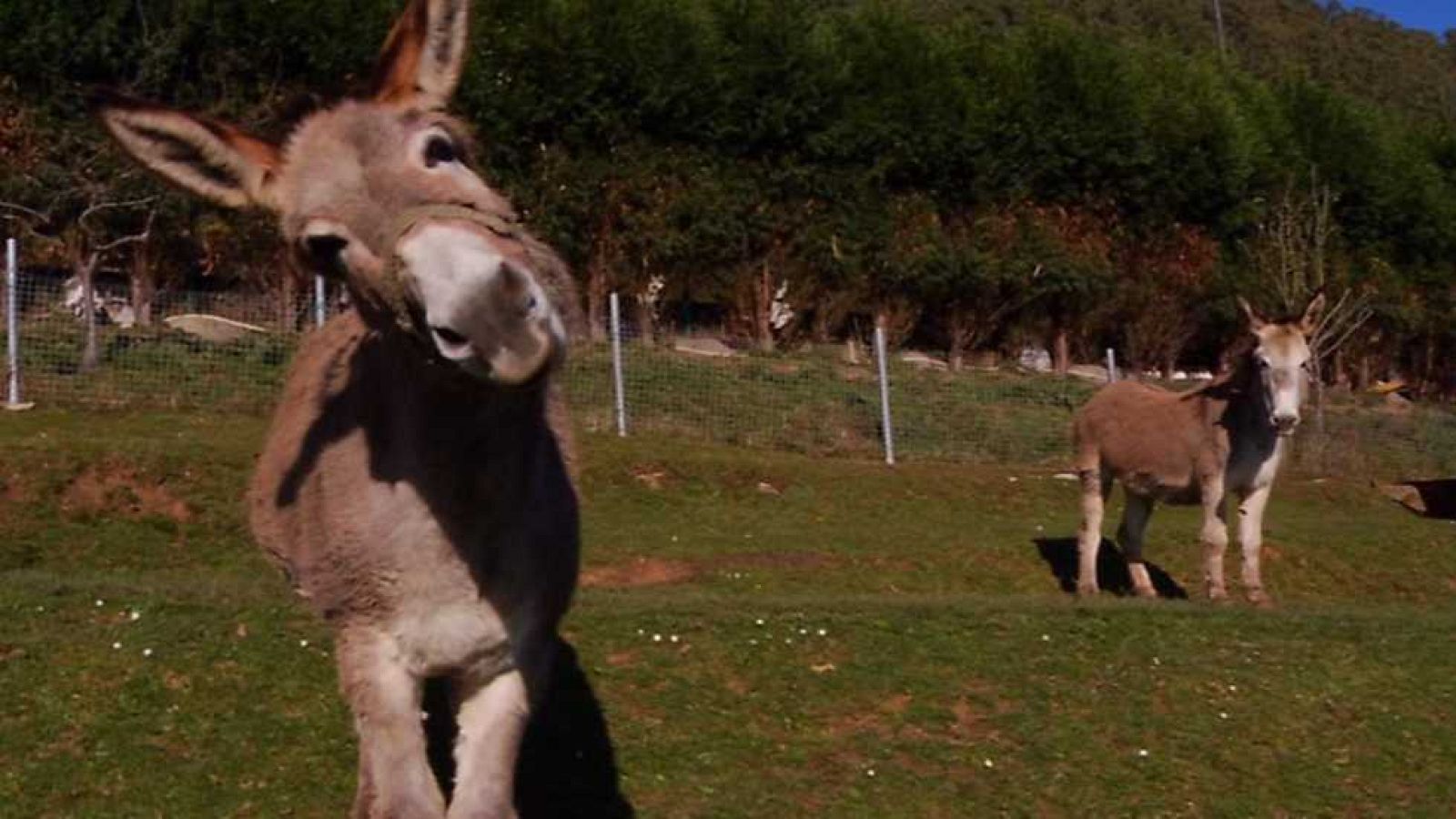 Aquí la Tierra - 16/03/16 - ver  ahora