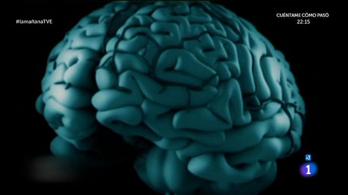 La mañana - Los sentimientos del cerebro