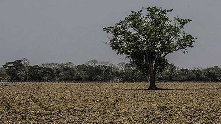 Informativo de Madrid - El Tiempo en la Comunidad de Madrid - 17/03/16