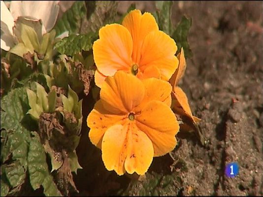 Panorama Regional - El tiempo en Asturias - 17/03/16