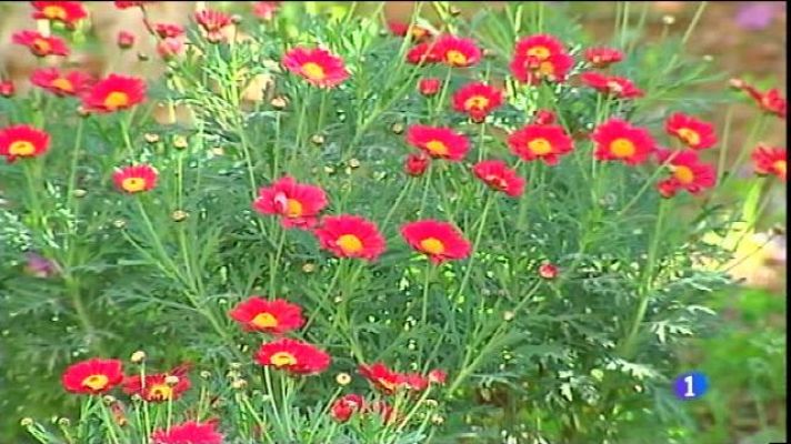 Informatiu Balear - La primavera, més seca i càlida