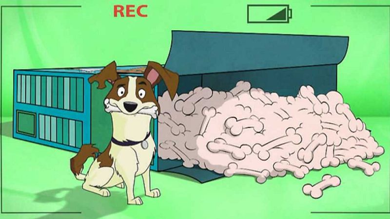 The Case of the Missing TV Star - Cuatro amigos y medio en inglés | Watch