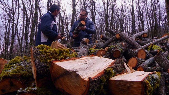 Aquí la Tierra - Leña que es pura suerte