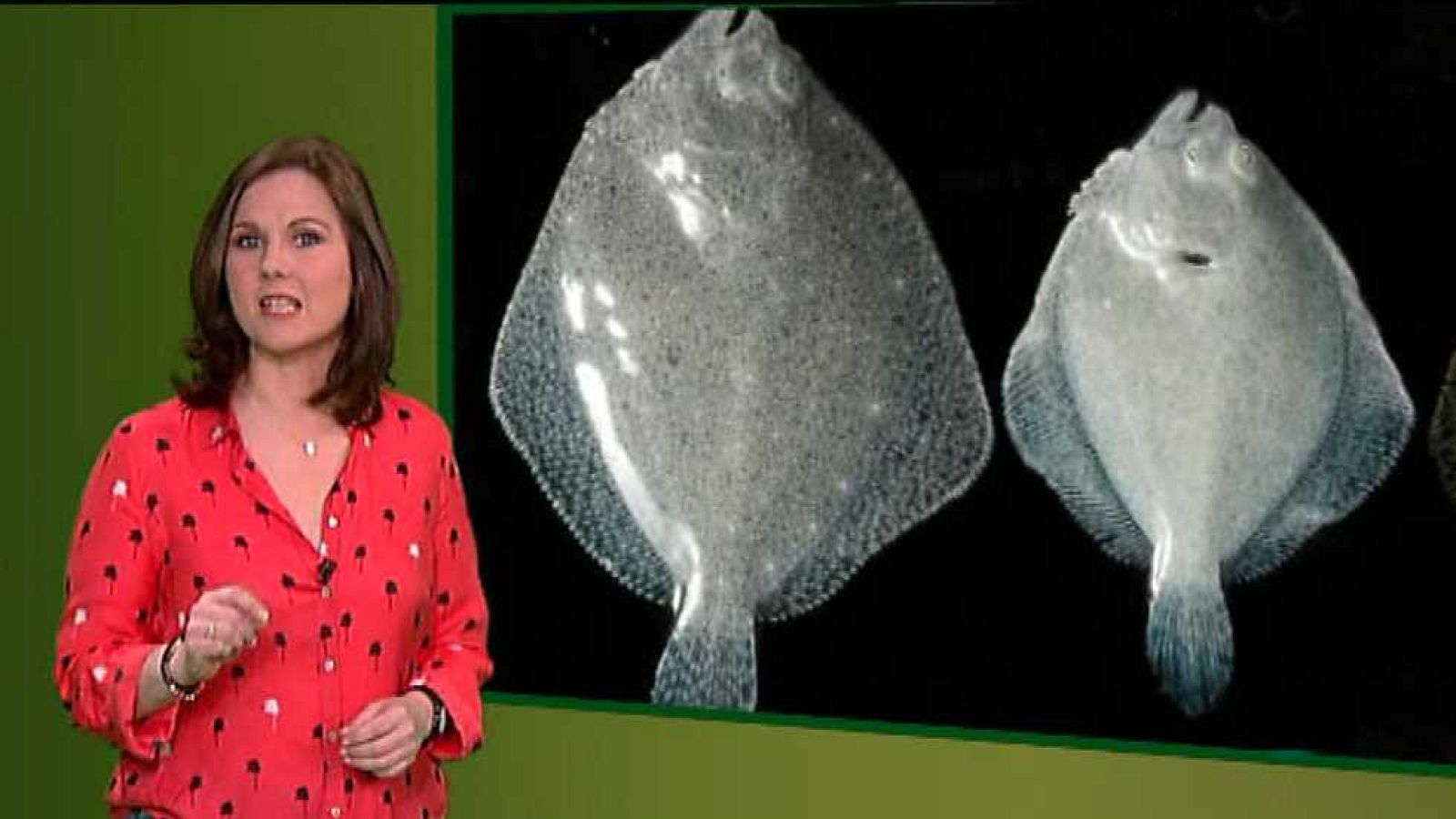 Agrosfera - 19/03/16 - Ver ahora