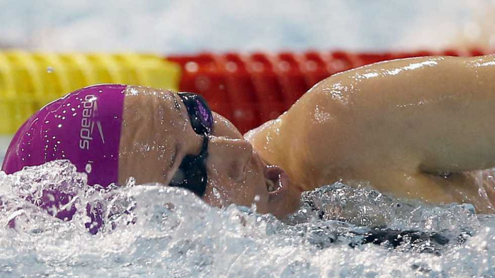 Natación - Campeonato de España Absoluto 'Open' - de Primavera. Sesión vespertina