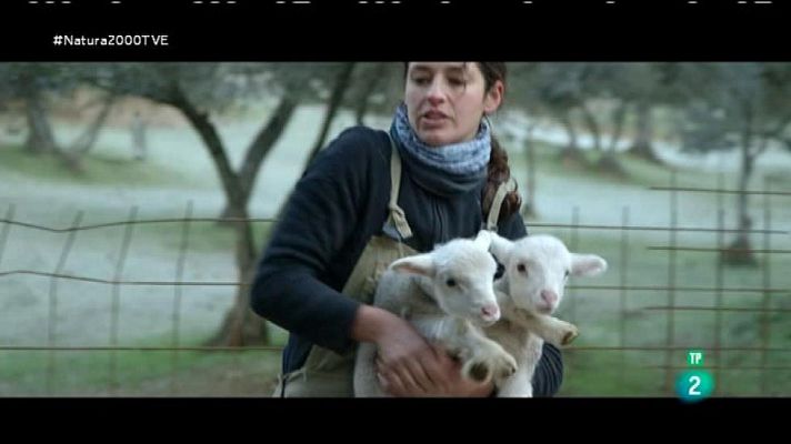 Red Natura 2000 - Granjera en la Sierra Norte de Sevilla
