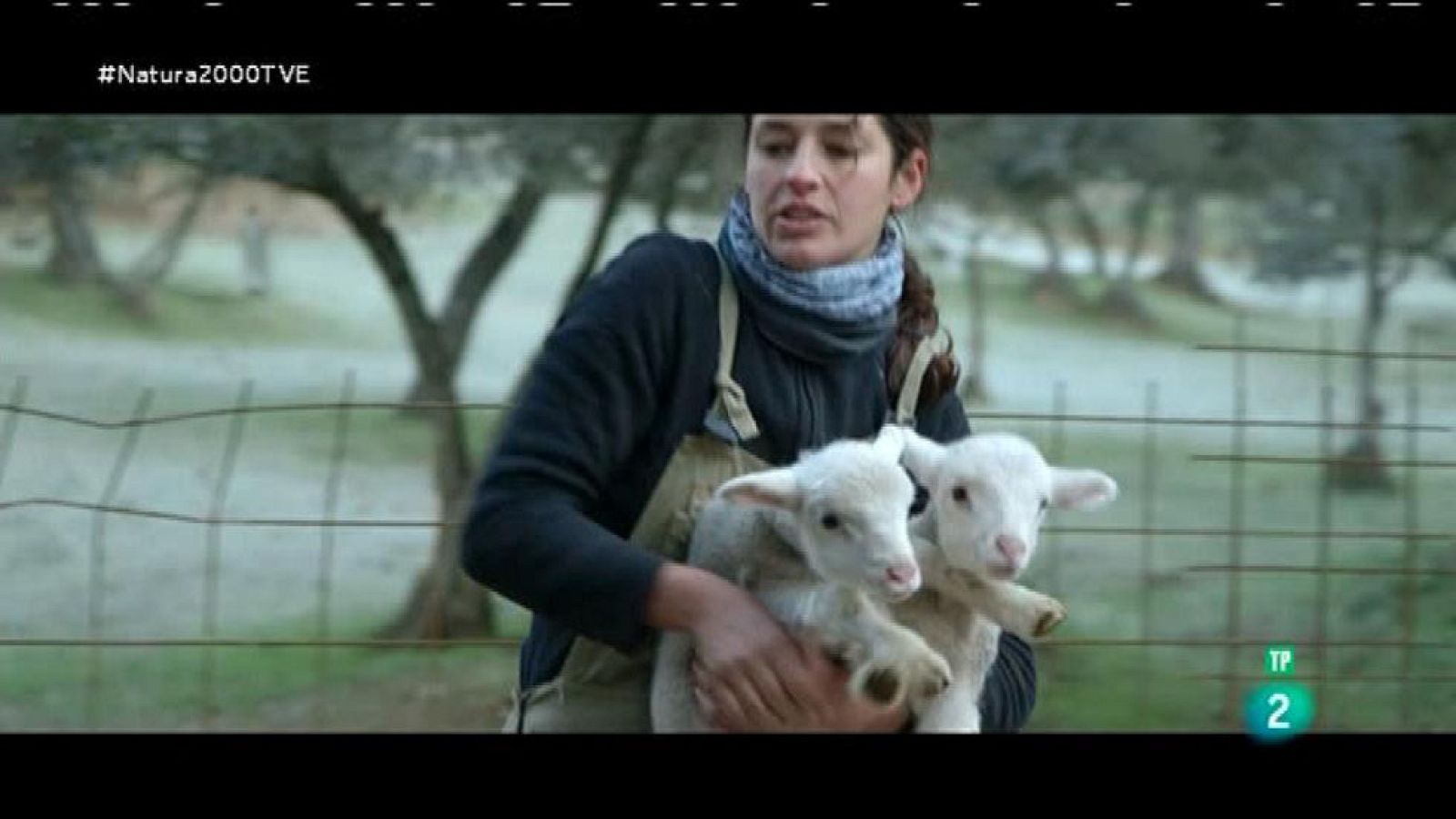 Red Natura 2000 - Granjera en la Sierra Norte de Sevilla