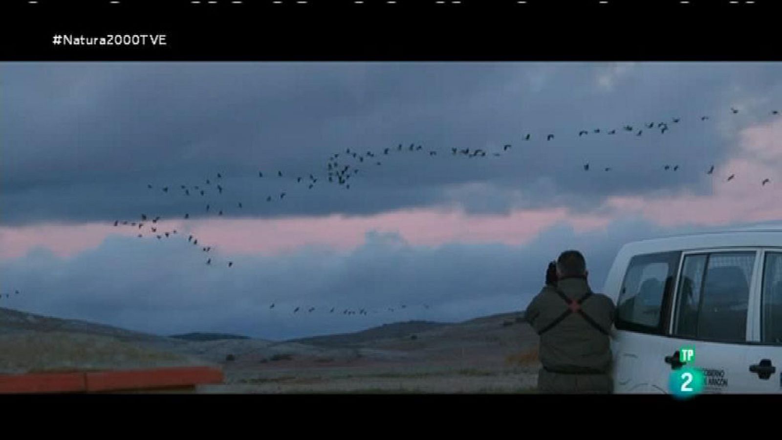 Red Natura 2000 - Contando  grullas en Gallocanta