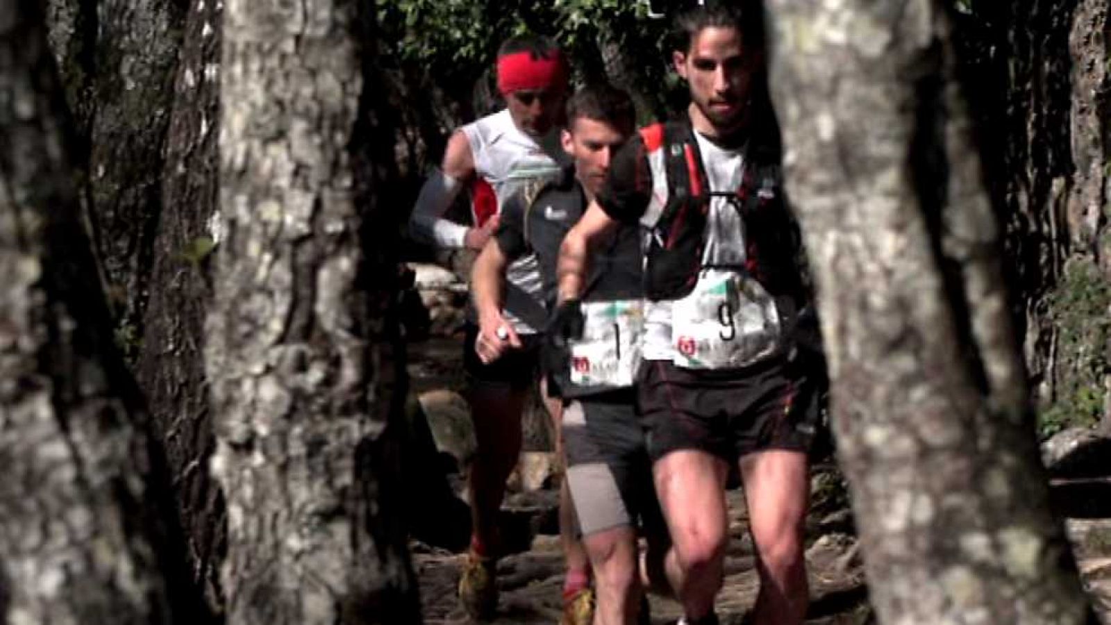 Carrera de montaña - Tres Valles Trail 2016 - ver ahora