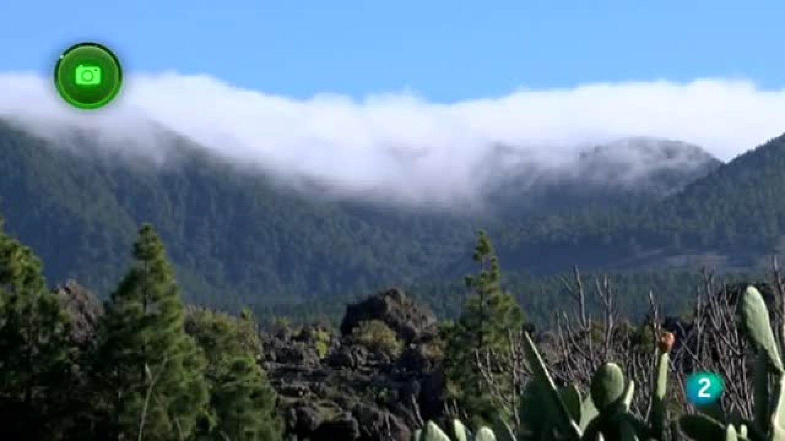 Agrosfera - En clave rural - La Palma