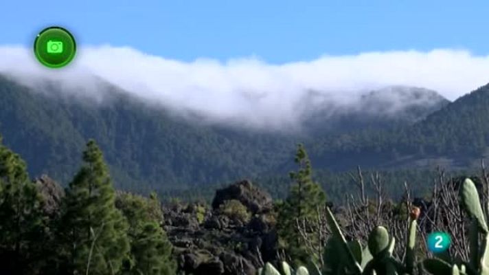 Agrosfera - Agrosfera - En clave rural - La Palma