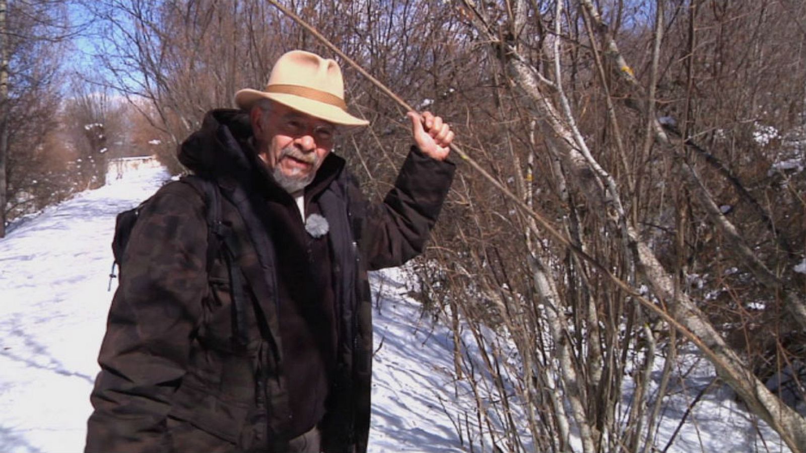 El avellano, árbol de agua