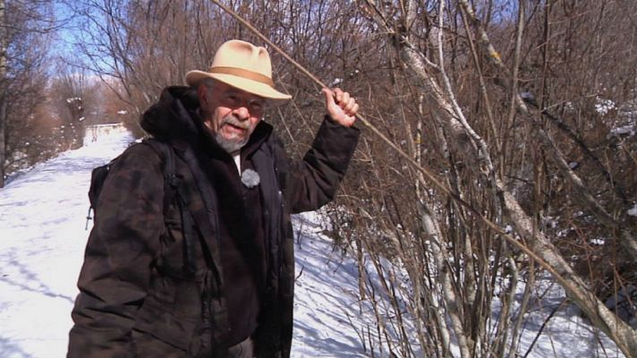 Aquí la Tierra - El avellano, árbol de agua