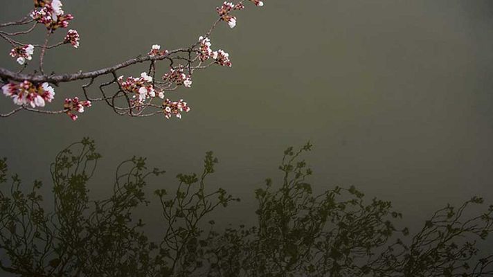 Informativo de Madrid - El Tiempo en la Comunidad de Madrid - 23/03/16