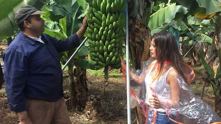 Aquí la Tierra - Aquí la Tierra - 23/03/16