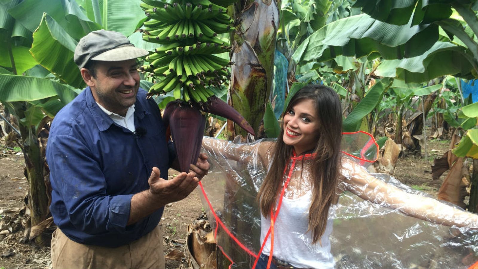 Adopta a Marta: platanera por un día