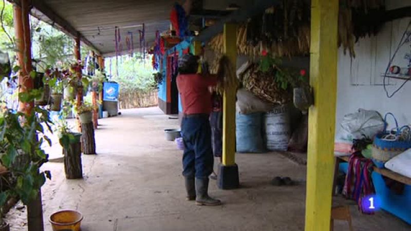 Un proyecto de desarrollo financiado con donaciones de España ha dado acceso al agua a 800 familias de Guatemala