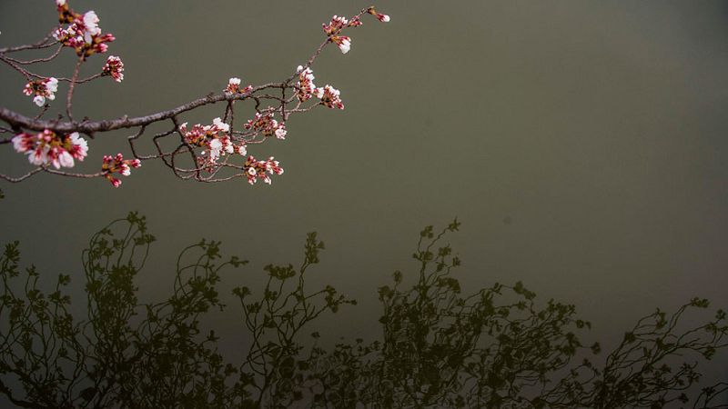 La nubosidad y las precipitaciones se irán extendiendo por la tarde