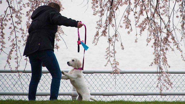 El tiempo - Vientos fuertes en el noroeste peninsular y área cantábrica
