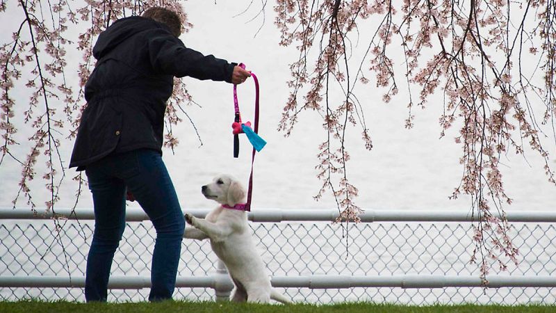 Vientos fuertes en el noroeste peninsular y área cantábrica