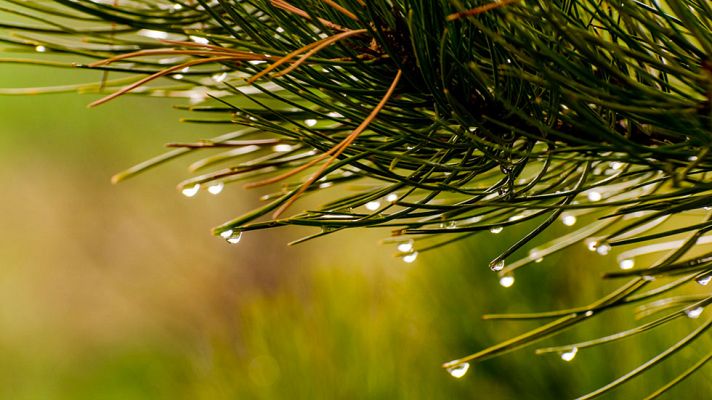 El tiempo - Lluvias localmente fuertes en el oeste de Galicia