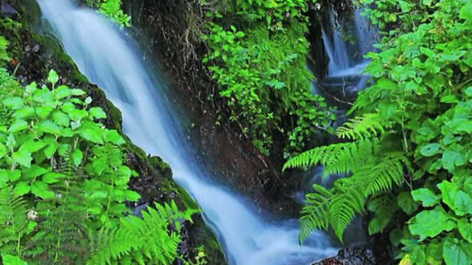 La aventura del saber - 28/03/16 - ver ahora