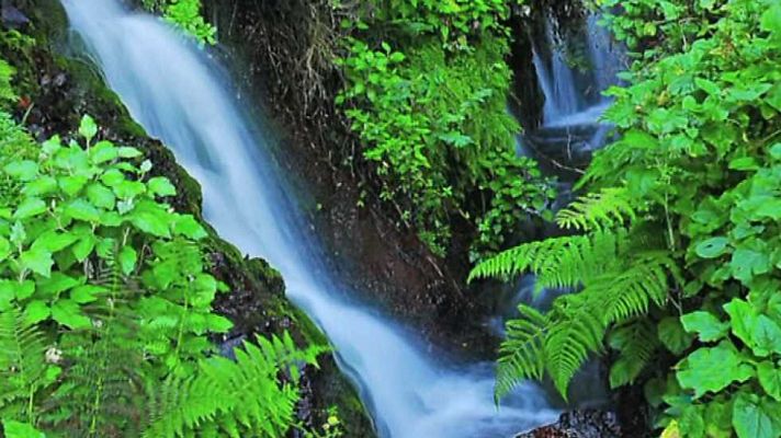 La aventura del Saber - La aventura del saber - 28/03/16