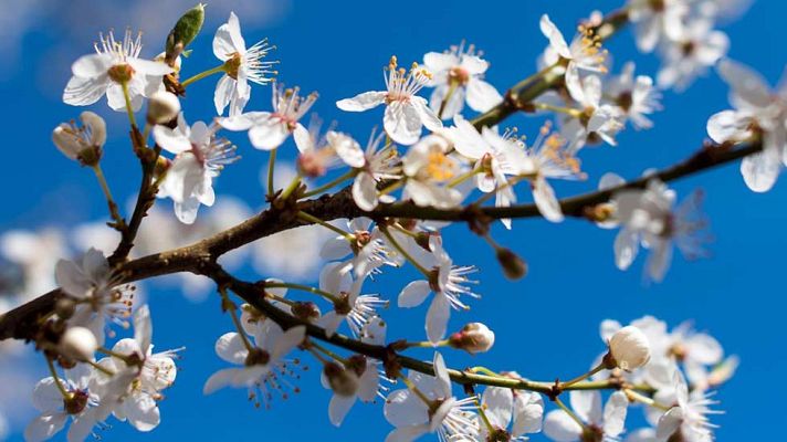 El tiempo - Viento fuerte en la Cordillera Cantábrica y en Galicia