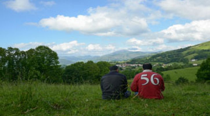 Red Natura 2000 - Vacas en ecológico