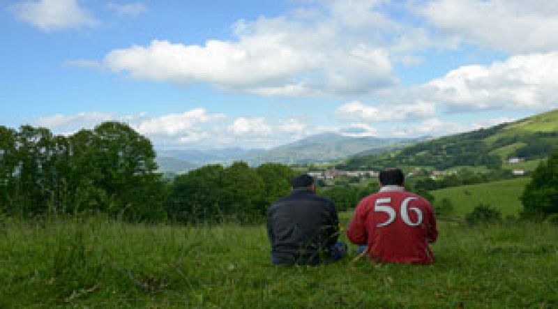 Red Natura 2000 - Vacas en ecológico