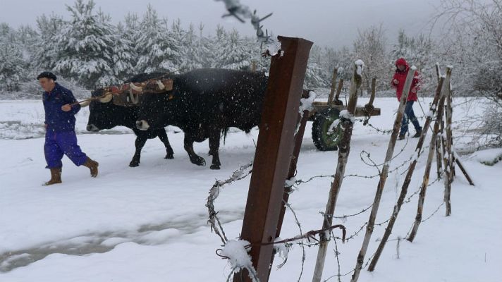 Aquí la Tierra - Marineros de tierra